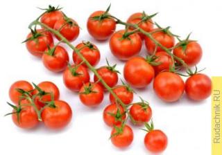 Какие томаты черри вам нравятся?