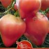Какой фирмы купить сорт томата Бычье сердце?