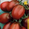 Своя технология выращивания томатов