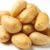 Способы подготовки клубней картофеля к посадке