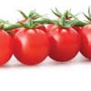 Уборка урожая помидоров, дозревание и хранение плодов