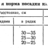 Норма и густота посадки картофеля