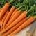 Как вырастить морковь к июню