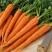 О пользе моркови и ее полезном влиянии на организм человека