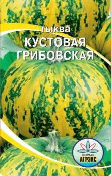 Сорт тыквы Грибовская кустовая изображение